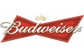 Goa Budweiser Beer